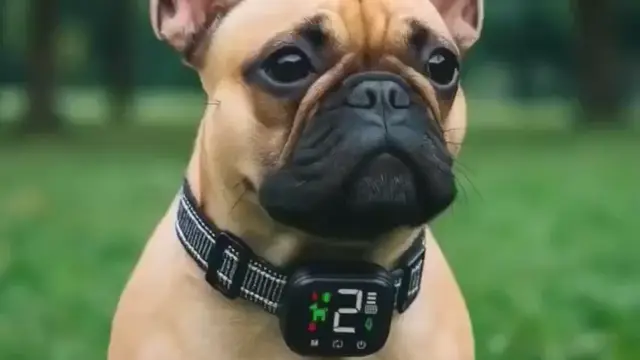 NooBark