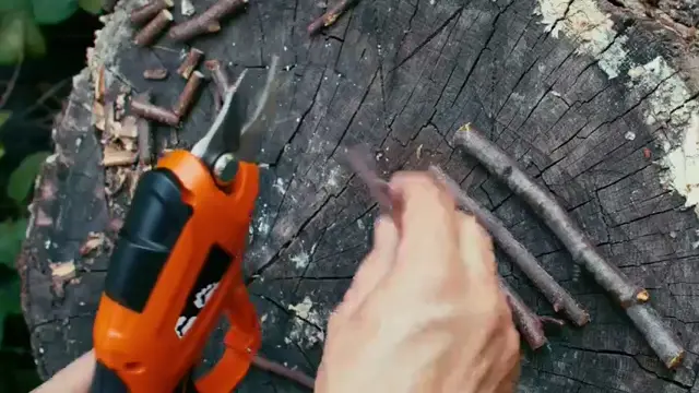 SuperPruner