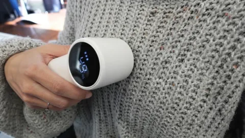 Qinux BobbleX – Electric Lint Remover