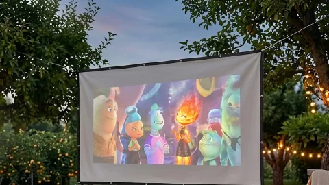 Qinux ScryneX – Portable Projection Screen