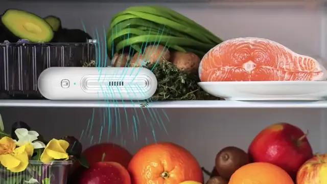 Fridge Deodoriser - Ozoori