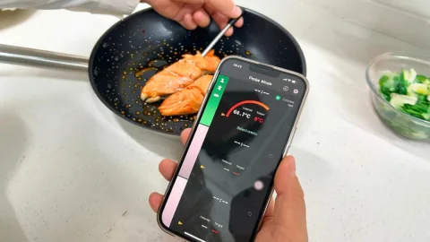 Qinux MeatMark – Digital Meat Thermometer