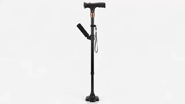 Hilipert StandSmuz Cane Walking Stick