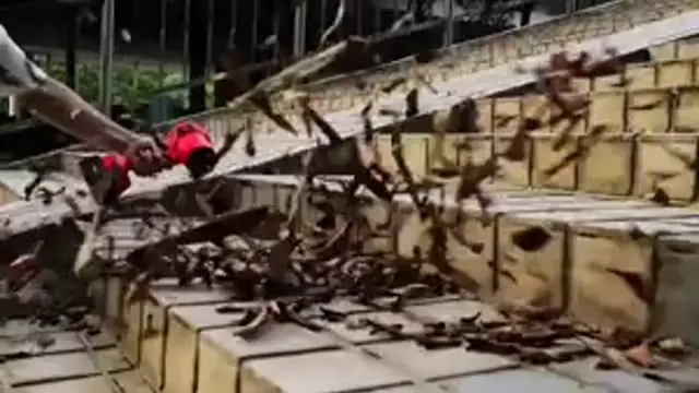 Power Stack Leaf Blower