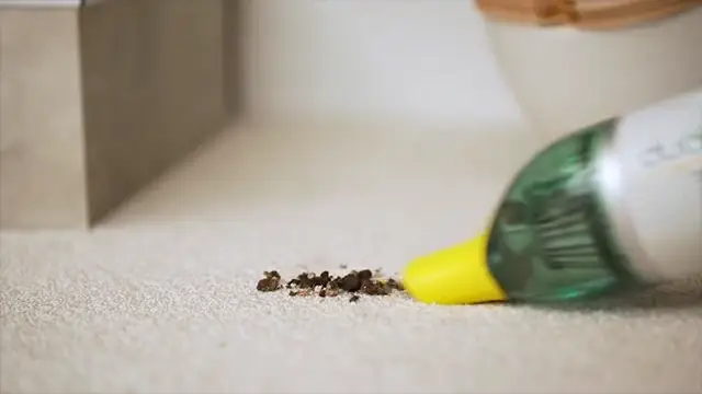 Horsepower Duck Vacuum